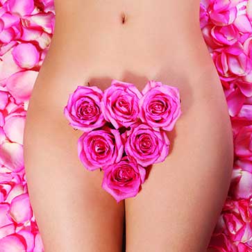 Women's genital area covered with roses
